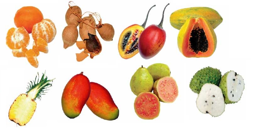 Fotografías de ocho frutas tropicales distribuidas en dos filas